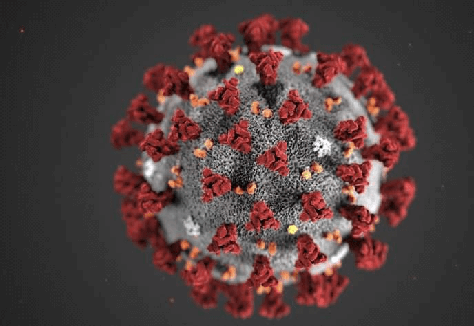 Virus COVID-19